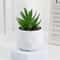 Artificial Succulent Plant Decor Mini Bonsai Fake Plant For Home And Office 13