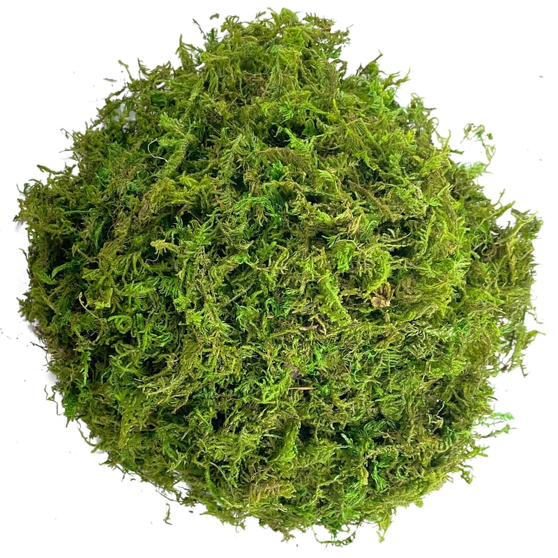 Artificial Moss Green Plant Decor Peat Moss Potting Craft 7