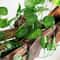 Artificial Ivy Garland Hanging Vines Greenery Wall Decor 4