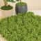 Artificial Moss Grass Mini Landscape Decor Craft Plant Filler 3