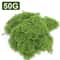 Artificial Moss Grass Mini Landscape Decor Craft Plant Filler 7