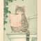 Japanese Cat Bathtub Canvas Wall Art Retro Japandi Poster 20