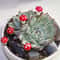 Mini Artificial Mushroom Decor Set For Fairy Garden And DIY Miniature Landscape 3