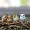 Mini Cute Animal Figurines Fairy Garden Bonsai Decor DIY Miniature Set 12