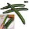 Realistic Artificial Cucumber Set Lifelike Kitchen Decor Props 0