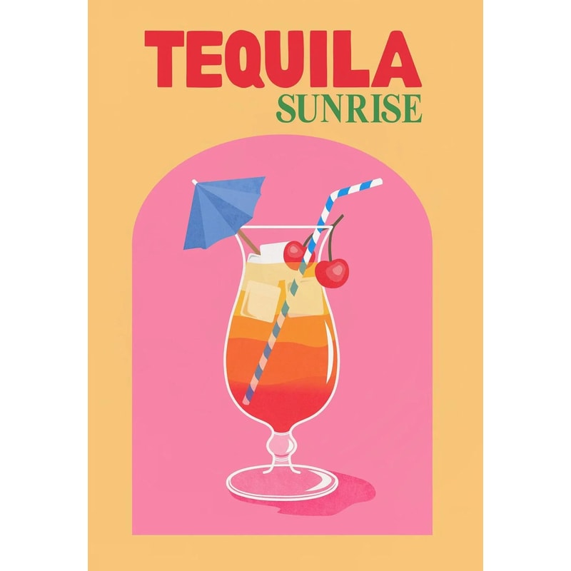 Colorful Cocktail Wall Art Prints Modern Bar Decor Canvas Set 15