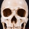 Life Size Human Skull Head Resin Model Realistic Decor 2