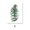 Nordic Botanical Canvas Wall Art Green Leaf Prints For Modern Home Decor 8