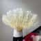 Luxury Ostrich Feather Fan Large Folding Dance Fan For Performance And Events 0