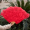 Luxury Ostrich Feather Fan Large Folding Dance Fan For Performance And Events 8