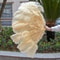 Luxury Ostrich Feather Fan Large Folding Dance Fan For Performance And Events 16