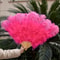 Luxury Ostrich Feather Fan Large Folding Dance Fan For Performance And Events 22