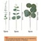 Artificial Eucalyptus Plant Bouquet Realistic Greenery Stems For Home Decor 4