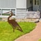 Rusted Metal Crane Garden Statue Outdoor Heron Bird Sculpture For Lawn Decor 2