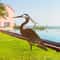 Rusted Metal Crane Garden Statue Outdoor Heron Bird Sculpture For Lawn Decor 0