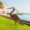 Rusted Metal Crane Garden Statue Outdoor Heron Bird Sculpture For Lawn Decor 0
