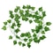 Artificial Ivy Garland Hanging Green Leaf Vine Decor For Home And Wall Styling 4