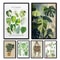 Green Botanical Leaves Canvas Wall Art Nature Inspired Plant Print For Home Decor 0