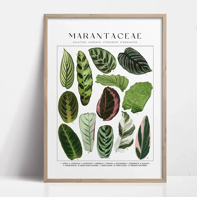 Green Botanical Leaves Canvas Wall Art Nature Inspired Plant Print For Home Decor 15