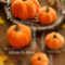 Velvet Pumpkin Decor For Fall Home Decor And Thanksgiving Table Styling 5
