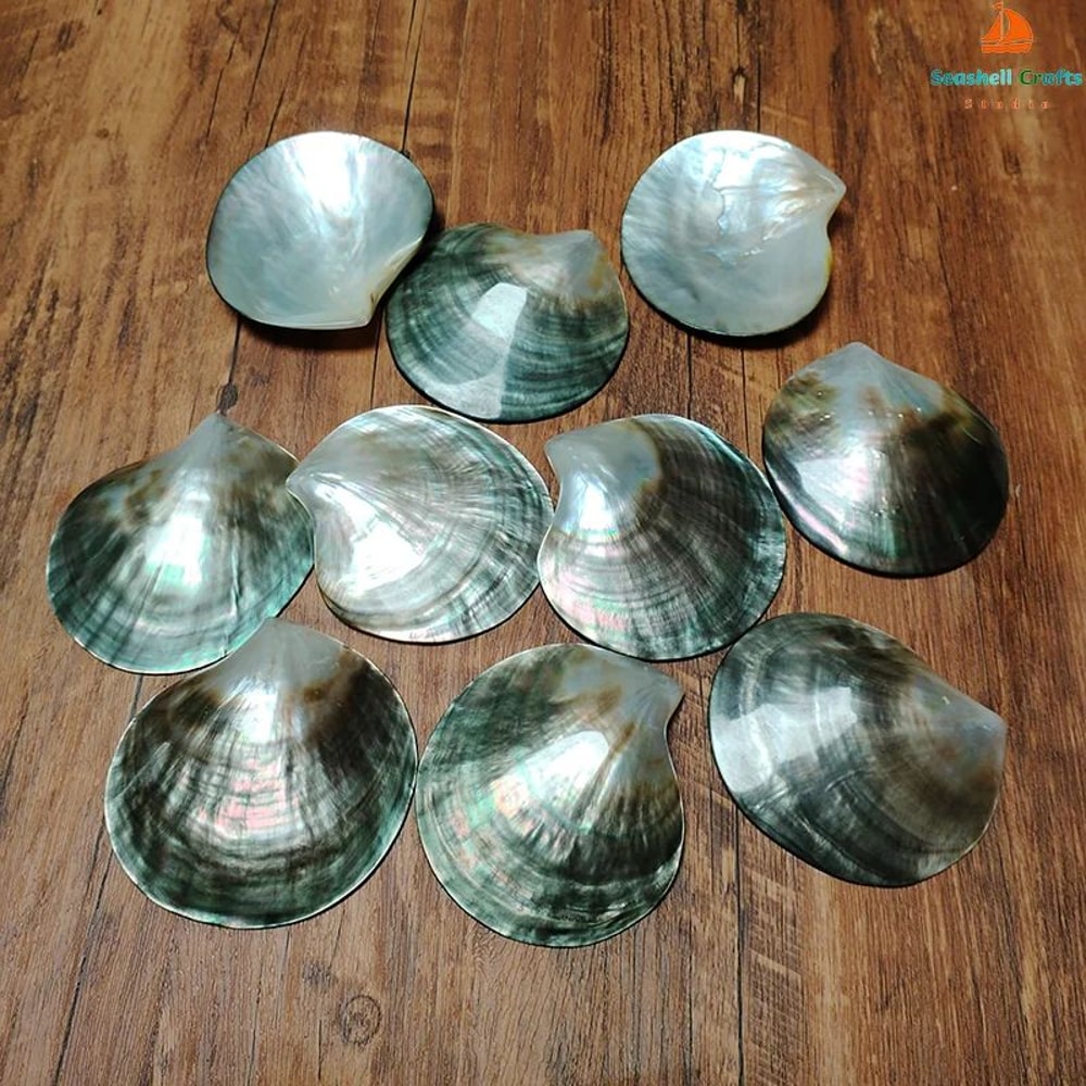 Black Mother Of Pearl Shell Dish For Jewelry Storage And Decorative Display 4