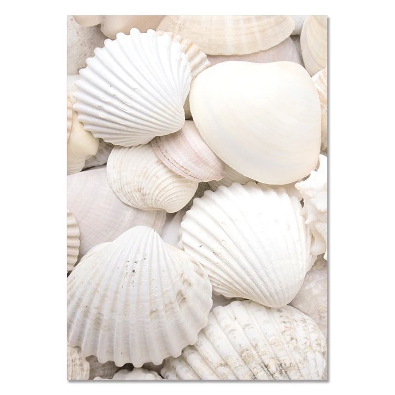 Nordic Beach Shell Canvas Wall Art Minimalist Coastal Home Decor 8