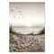 Nordic Beach Shell Canvas Wall Art Minimalist Coastal Home Decor 10