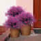 Outdoor Artificial Flowers Set UV Resistant Garden Decor Shrubs 2