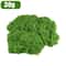 Artificial Green Moss Lawn DIY Craft Garden Decor Fake Grass 6