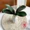 Artificial Orchid Leaves Realistic Phalaenopsis Plant Greenery Decor 6