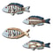 Ocean Fish Wooden Wall Decor Set Coastal Marine Art Hanging Sculpture 4