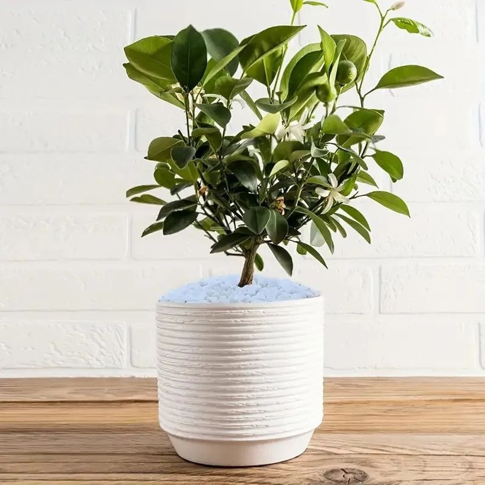 Natural Crystal Pebbles Polished Stones For Aquarium Plants And Home Decor 1