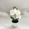 Mini Artificial Bonsai Plant Potted Desktop Faux Plant Decor 9