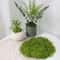 Artificial Moss Decor Green Faux Moss For DIY Crafts And Home Decoration 9