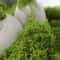 Artificial Moss Decor Green Faux Moss For DIY Crafts And Home Decoration 1