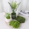 Artificial Moss Decor Green Faux Moss For DIY Crafts And Home Decoration 5