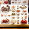 Real Crab Specimen Display Collectible Ocean Decor Desk Ornament 2