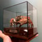 Real Crab Specimen Display Collectible Ocean Decor Desk Ornament 13