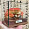 Real Crab Specimen Display Collectible Ocean Decor Desk Ornament 6