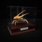 Real Crab Specimen Display Collectible Ocean Decor Desk Ornament 11