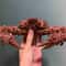 Real Crab Specimen Display Collectible Ocean Decor Desk Ornament 19