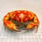 Real Crab Specimen Display Collectible Ocean Decor Desk Ornament 20