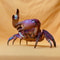 Real Crab Specimen Display Collectible Ocean Decor Desk Ornament 25