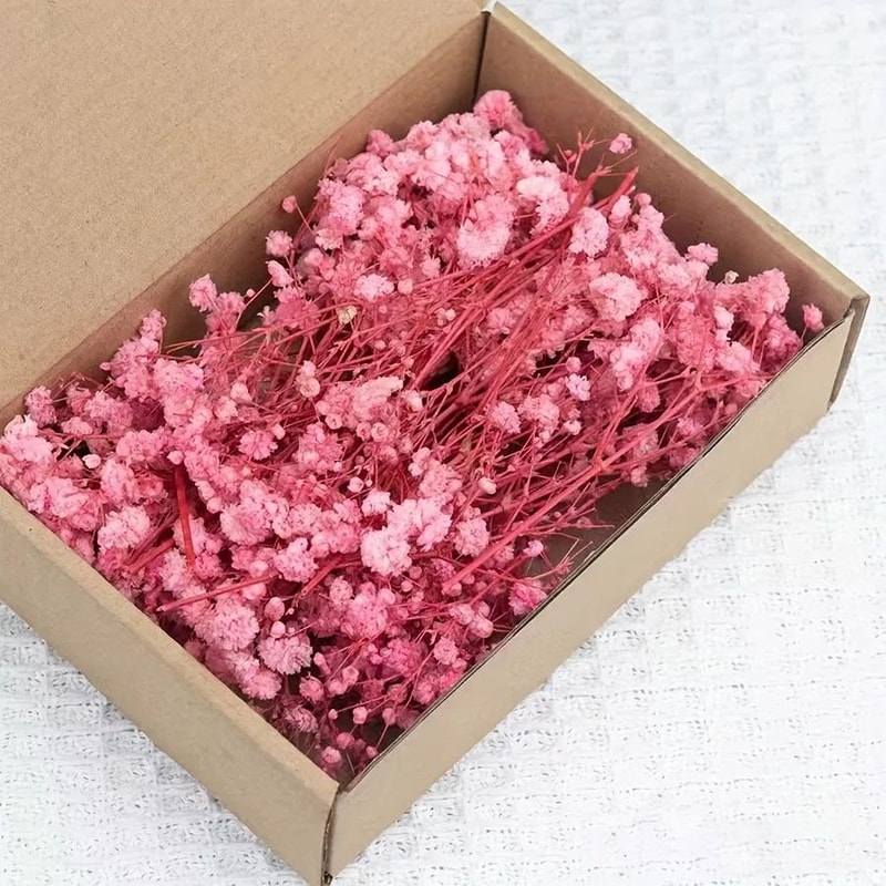 Mini Dried Babys Breath Flowers For Resin Craft And Wedding Decor 7