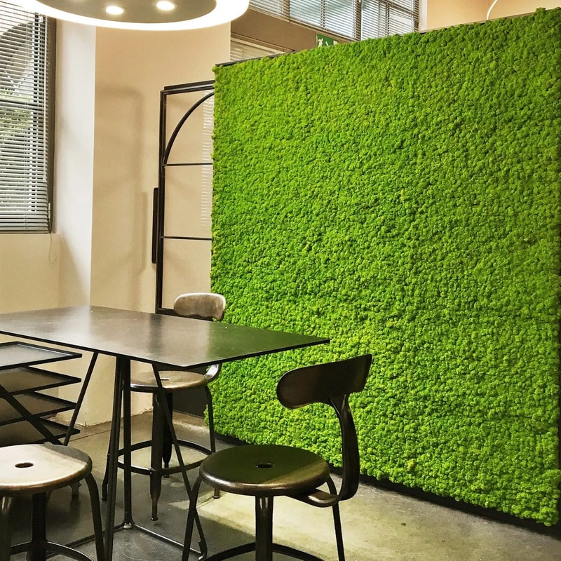 Natural Green Moss Decor Artificial Moss For Mini Garden And Wall Design 3