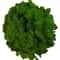 Transform Ordinary Spaces Into Calming Green Sanctuaries With This Soft Lifelike Reindeer Moss That 0