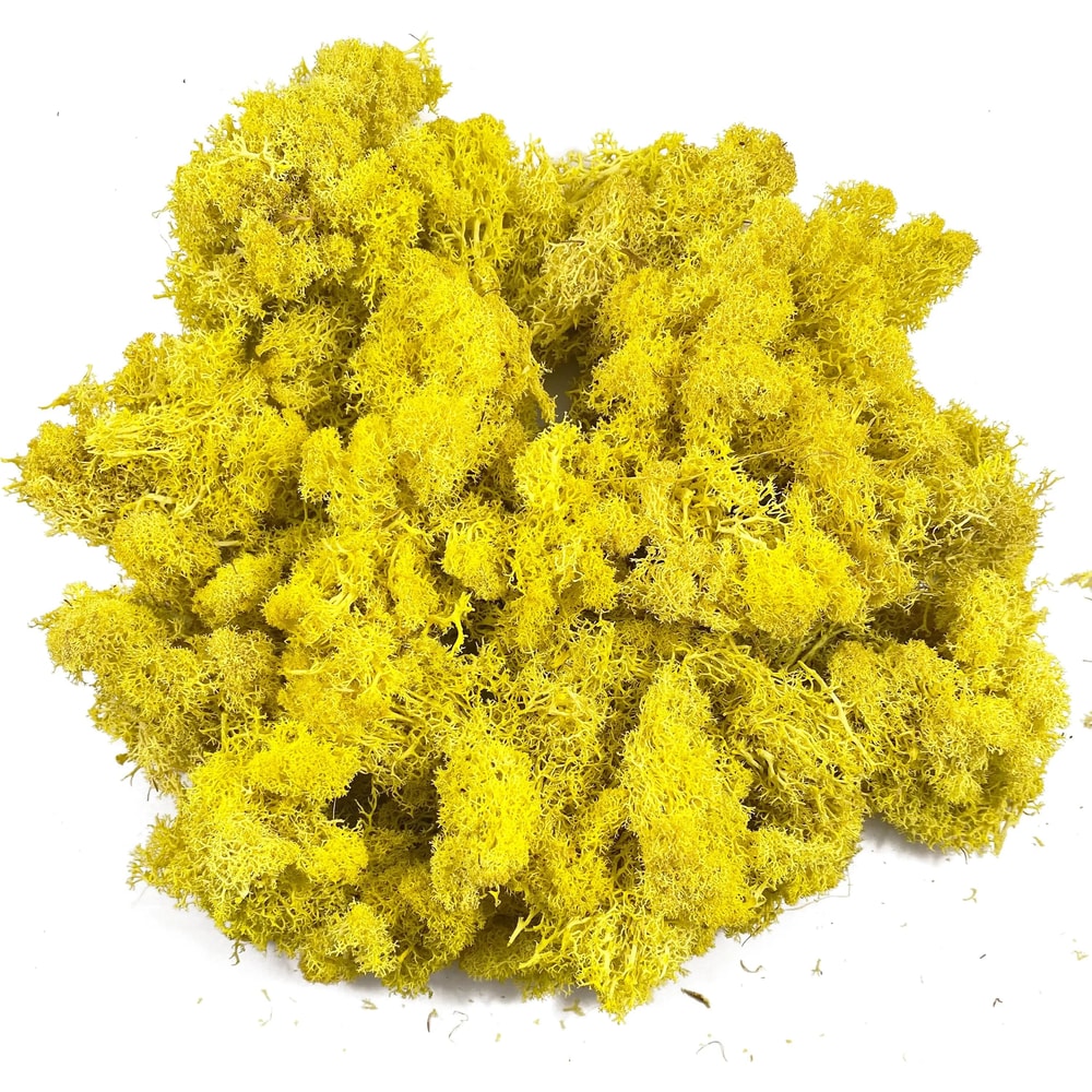 Transform Ordinary Spaces Into Calming Green Sanctuaries With This Soft Lifelike Reindeer Moss That 9