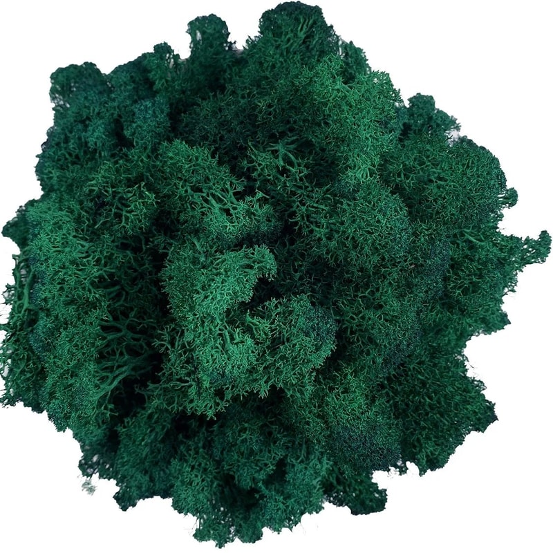 Transform Ordinary Spaces Into Calming Green Sanctuaries With This Soft Lifelike Reindeer Moss That 12