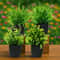 Mini Artificial Potted Plants Set For Home Table Decor And Styling 5
