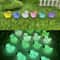 Glow In The Dark Mini Duck Figurines Micro Landscape Decor Set 3